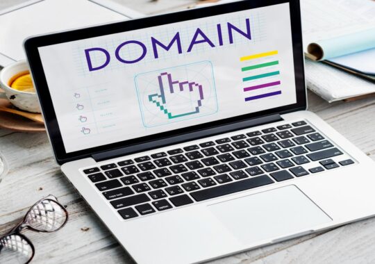 The Impact of Domain Name Age on Website Performance