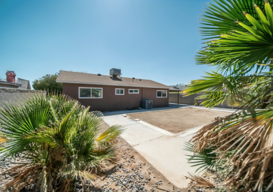 How to Integrate Landscaping with Your Driveway for a Cohesive Look